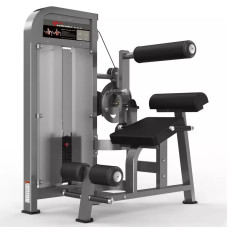  PF-1005 Back Extension /Ab Crunch 