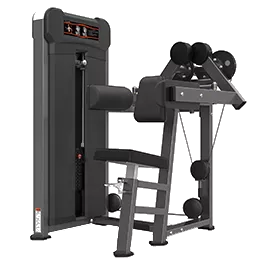 Lateral Raise