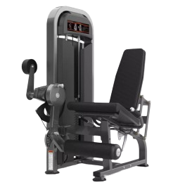 LEG EXTENSION